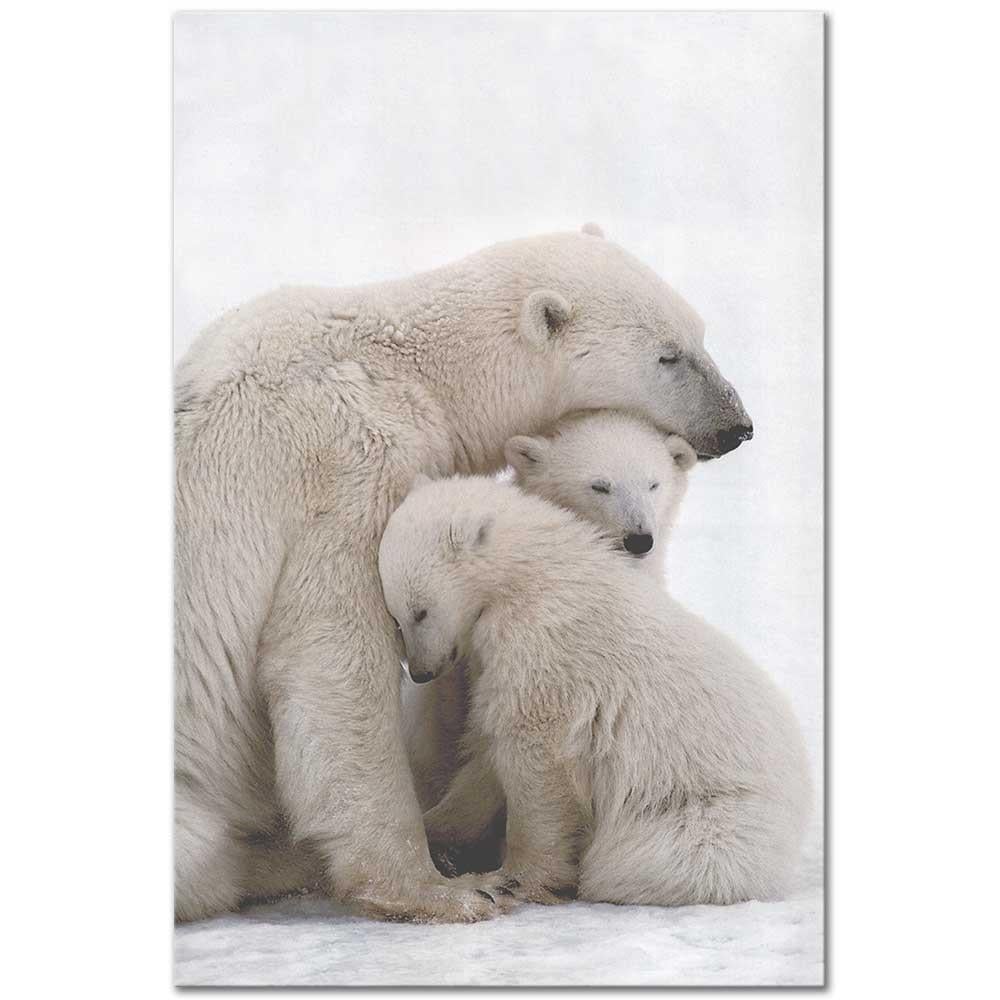 Polar Bear and Her Cubs