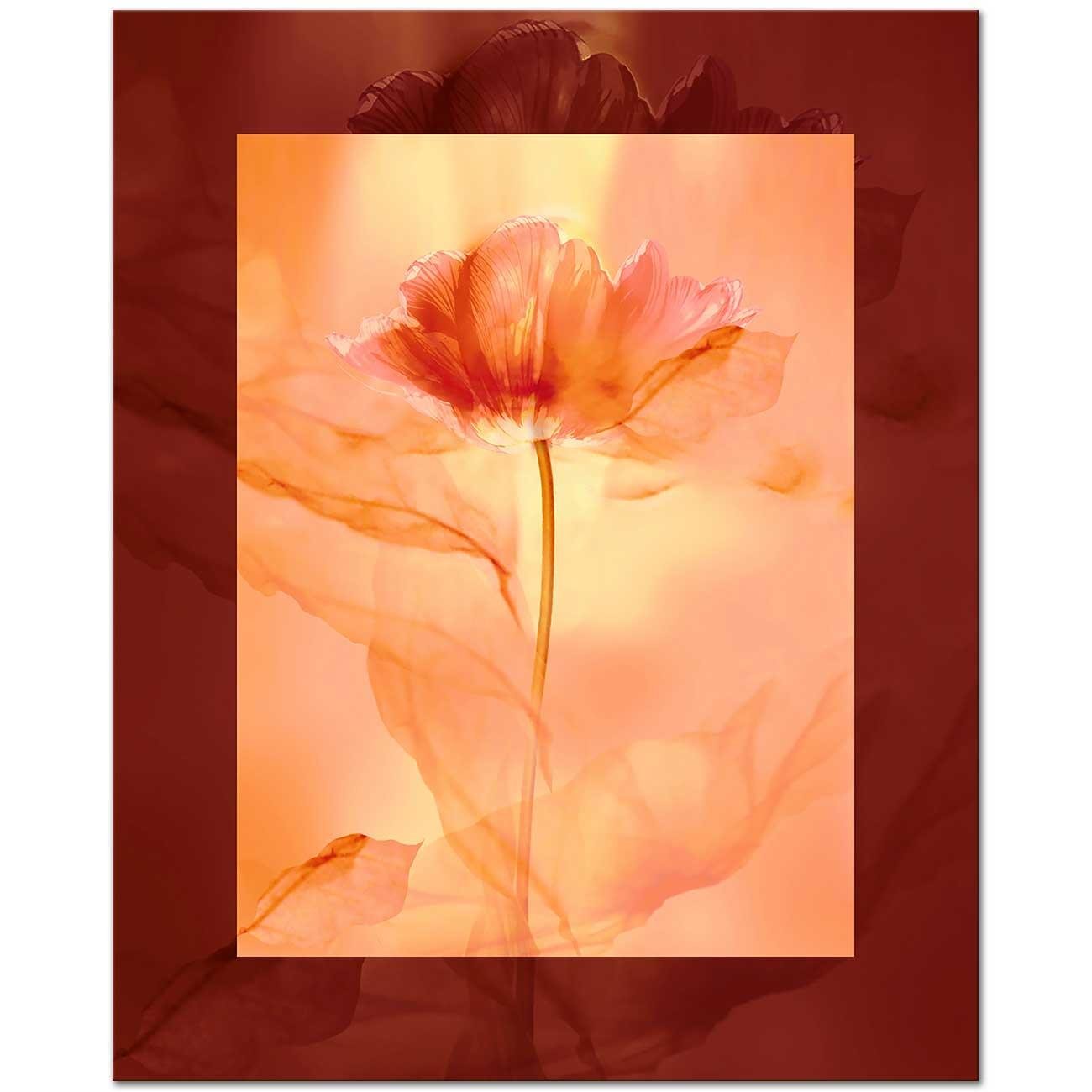 Poppy Sourness Art Print