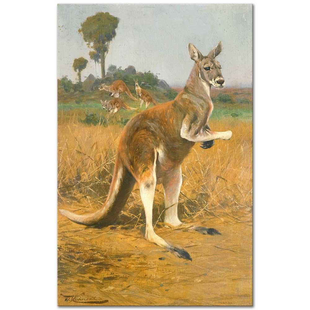 Red Kangaroos In The Outback by Wilhelm Kuhnert