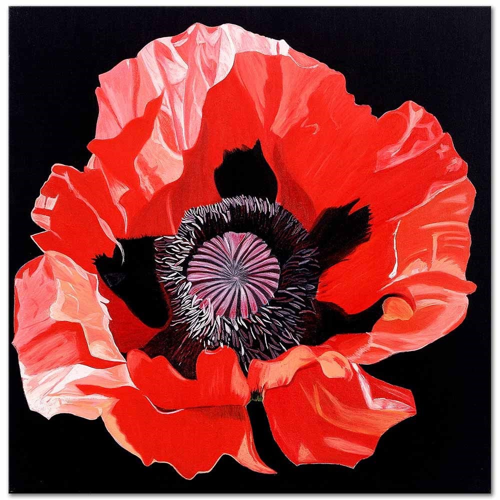 Red Poppy by Dagmar Göğdün
