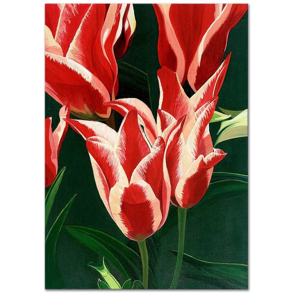 Red Tulips by Dagmar Göğdün