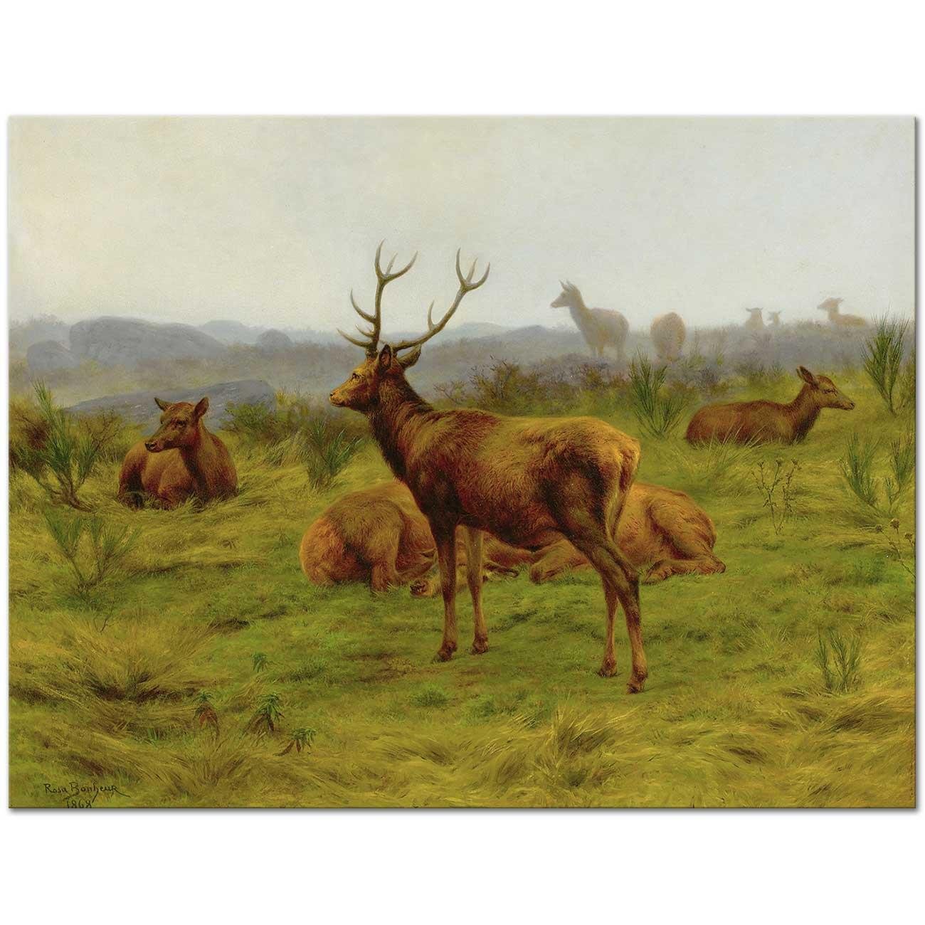 The Monarch of the Herd by Rosa Bonheur