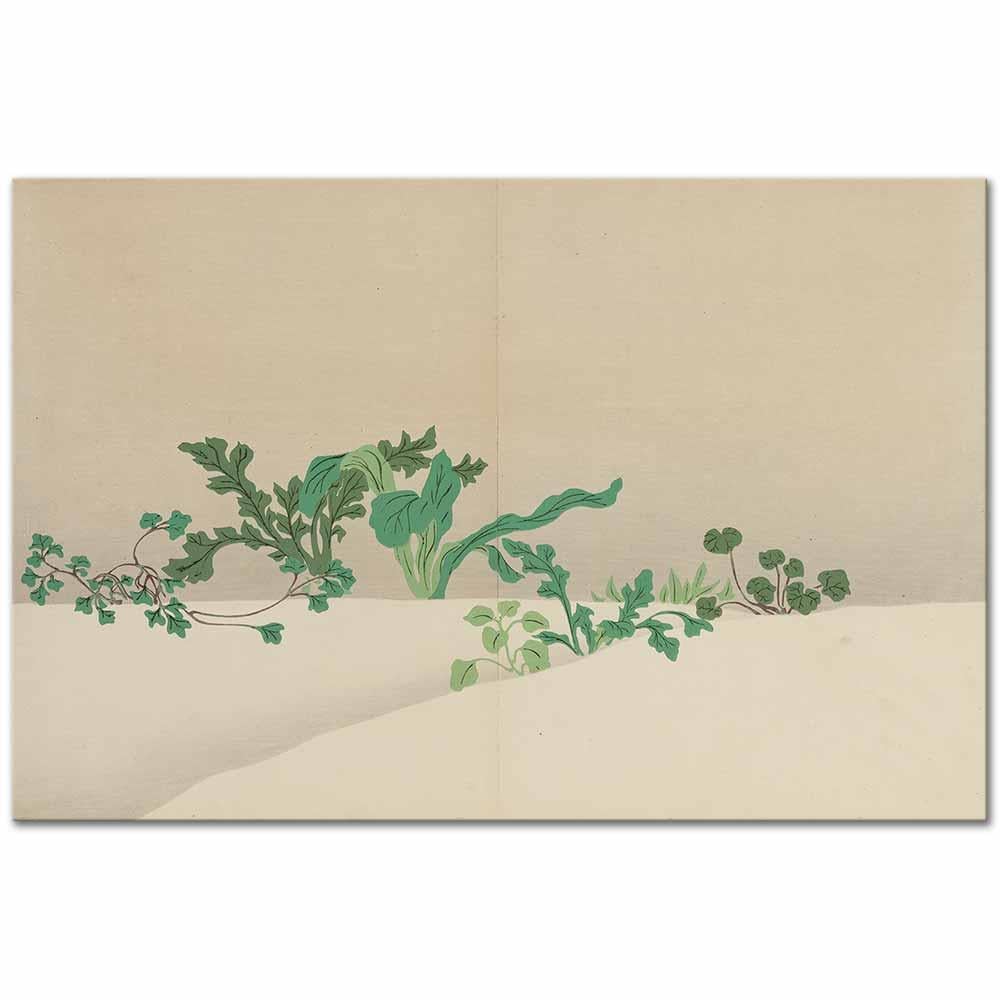 Seven Herbs of Early Spring by Kamisaka Sekka as Art Print