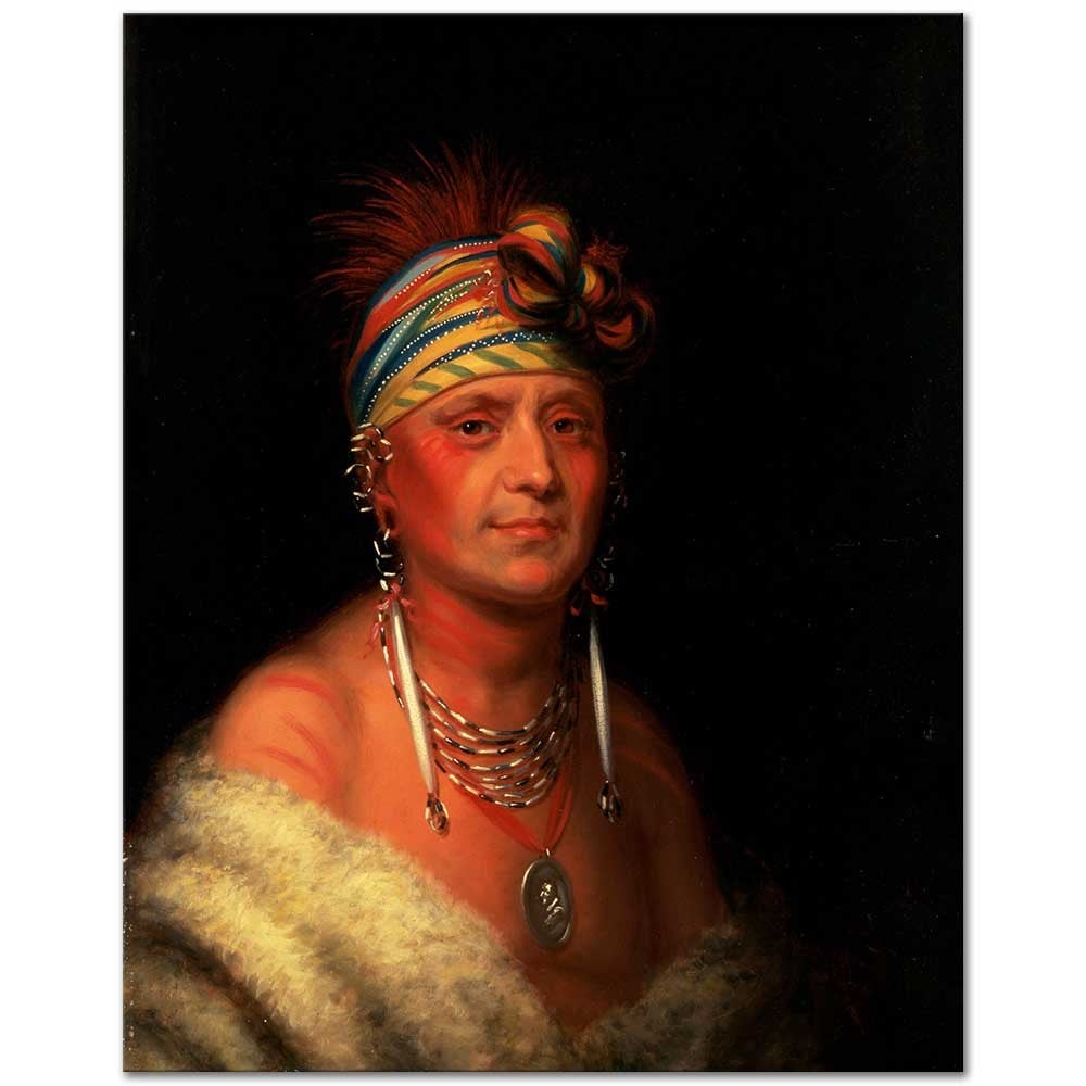 Shaumonekusse Prairie Wolf by Charles Bird King
