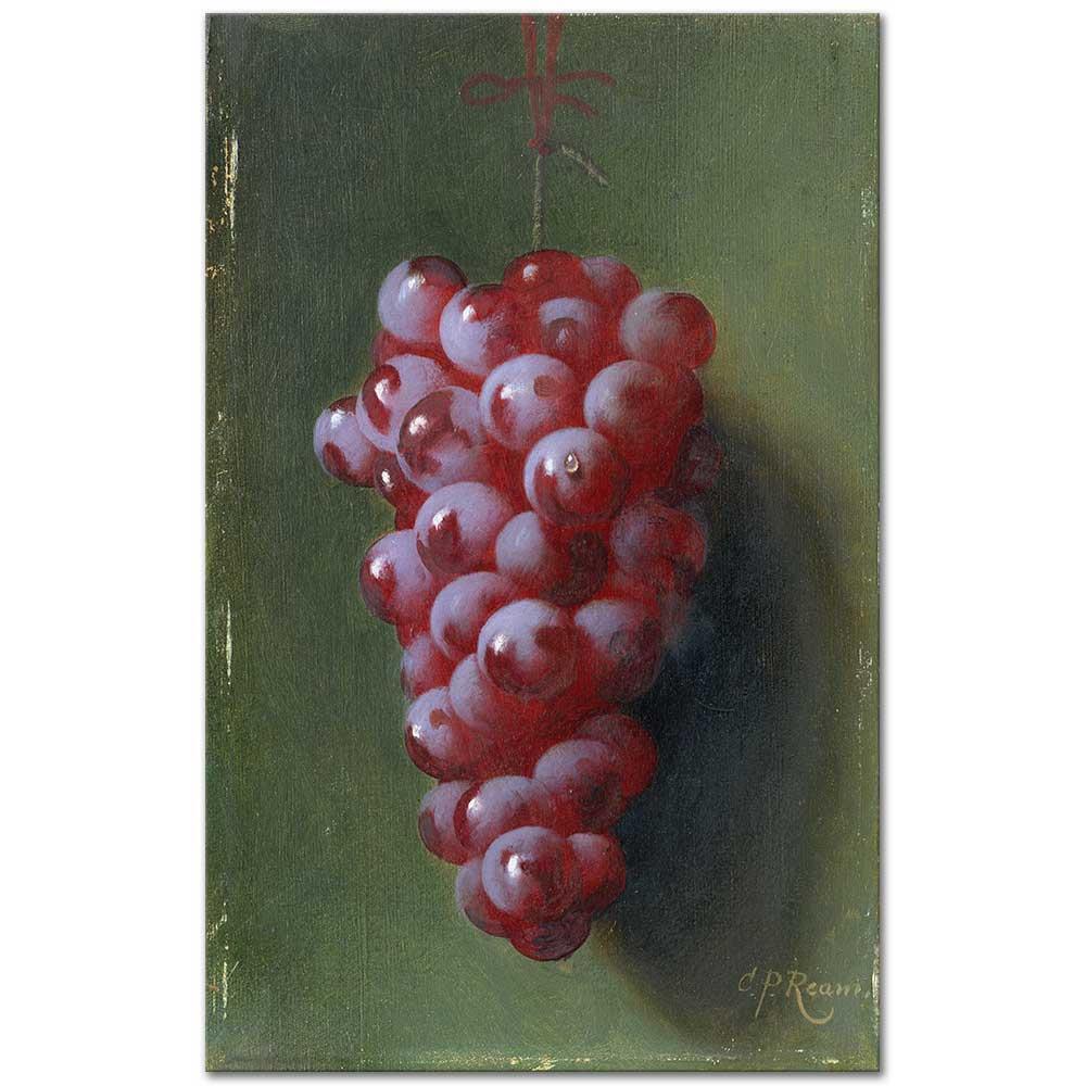 Still Life with Grapes by Carducius Plantagenet Ream