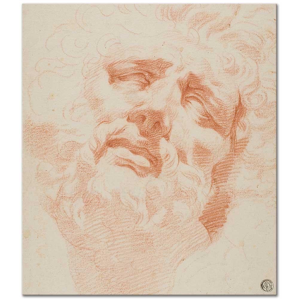 Andrea Appiani Laocoon'un Başı Etüdü Kanvas Tablo