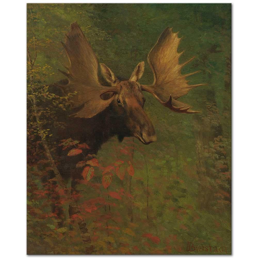 Albert Bierstadt Bir Kanada Geyiği Etüdü Kanvas Tablo