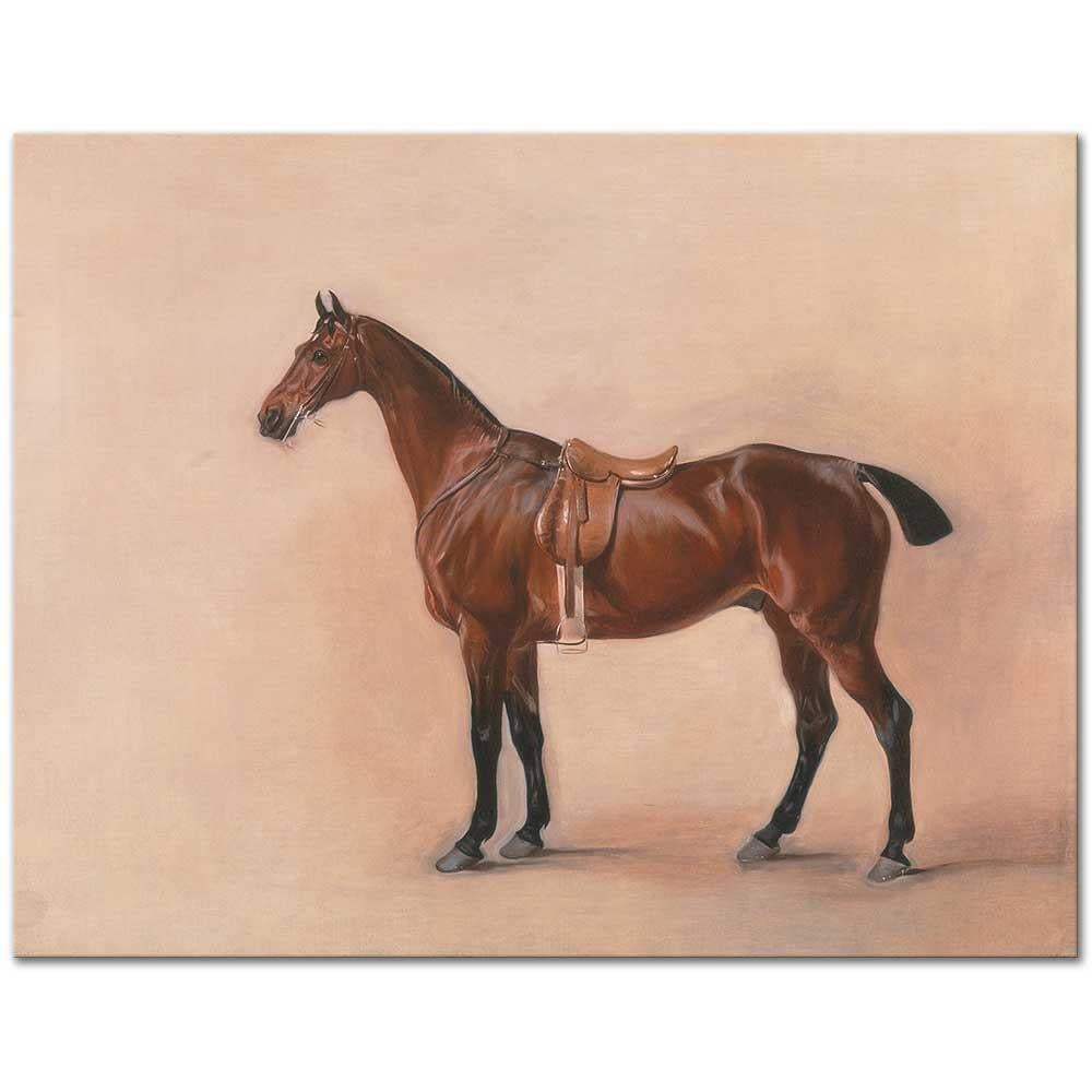 Study of a Saddled Bay Hunter by John Ferneley as Fine Art Giclée