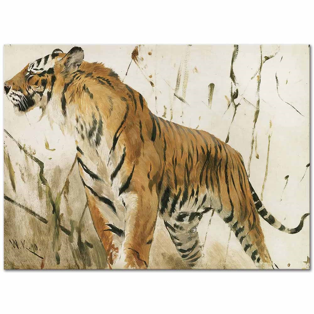 Study Of A Tiger by Wilhelm Kuhnert as Fine Art Print