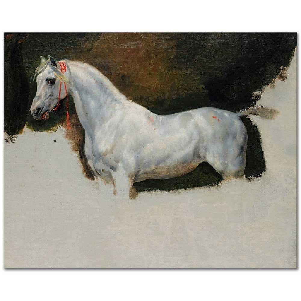 Study of a White Horse by Horace Vernet as Art Print