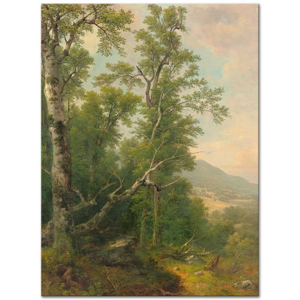 Study of Trees by Asher Brown Durand
