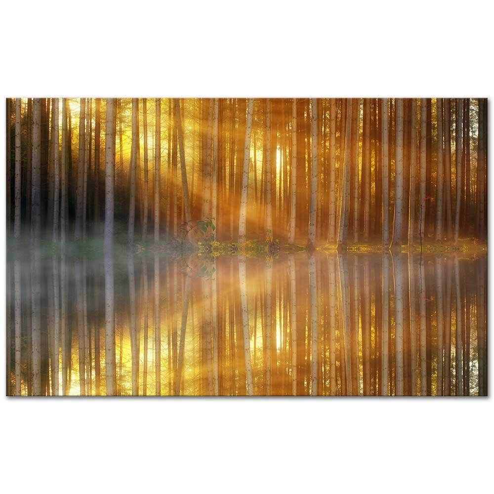 Sunbeams Through Forest as Art Print