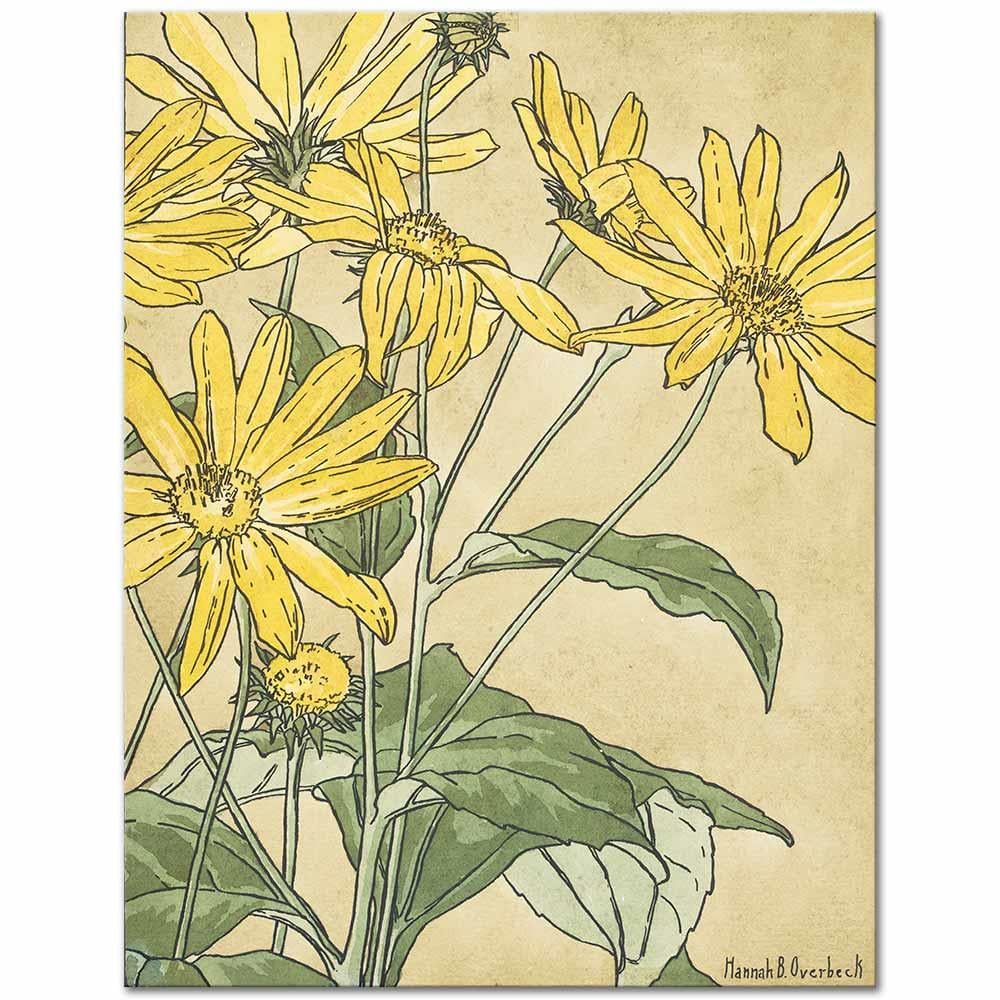 Hannah Borger Overbeck Ayçiçekleri Kanvas Tablo