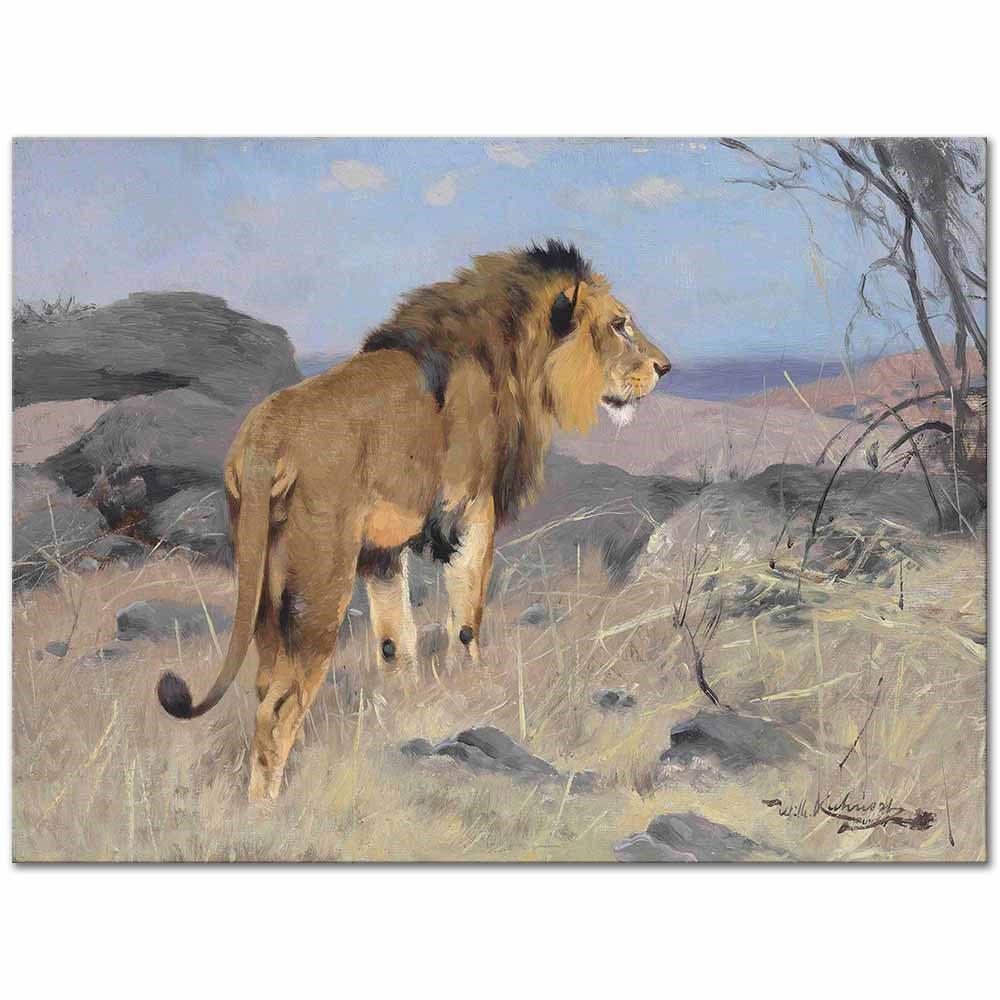 The Lion by Wilhelm Kuhnert as Fine Art Print