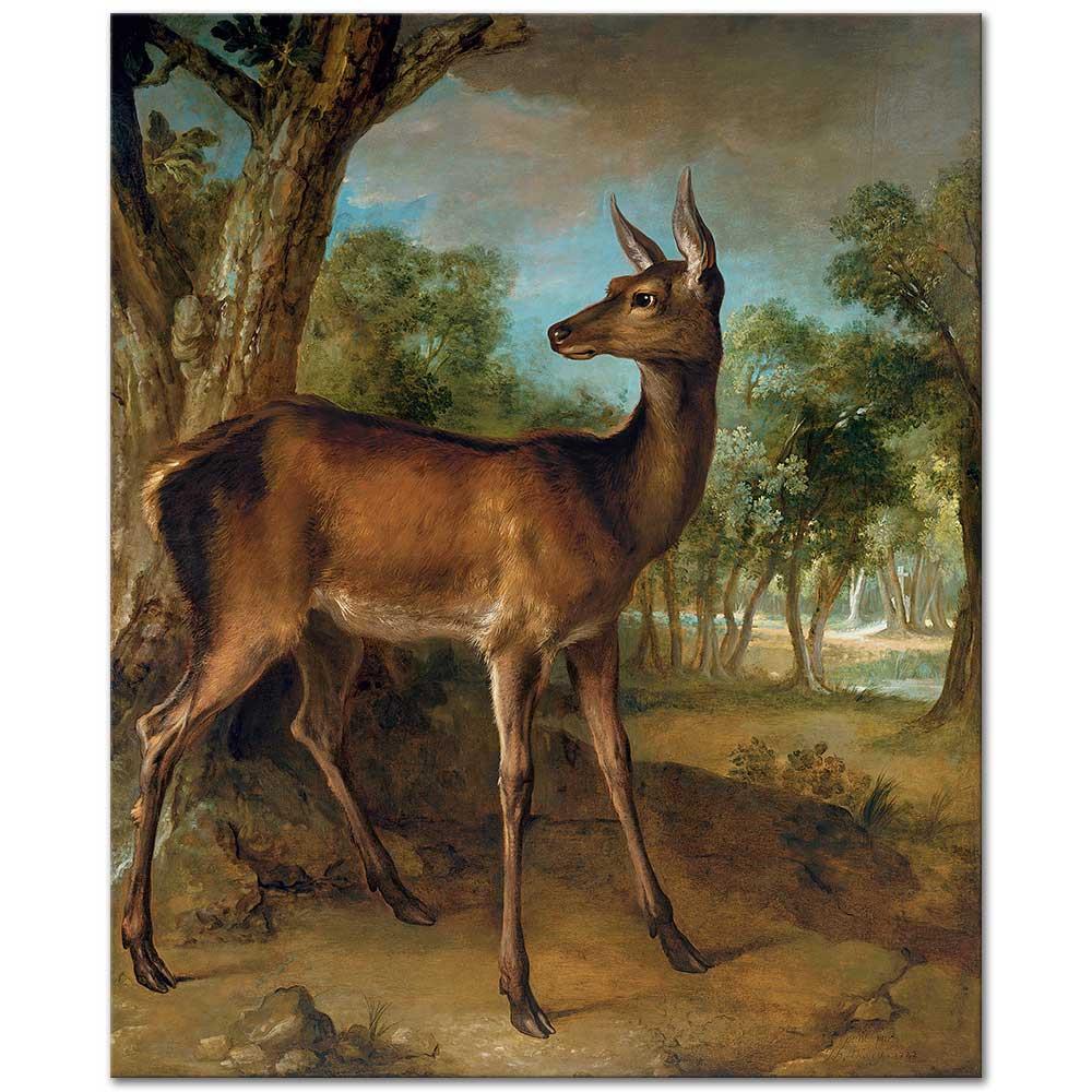 Jean-Baptiste Oudry Dikkat Kesilen Dişi Geyik Kanvas Tablo