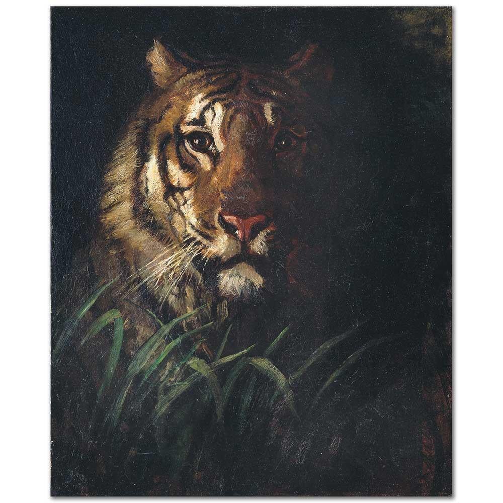Tiger's Head by Abbott Handerson Thayer