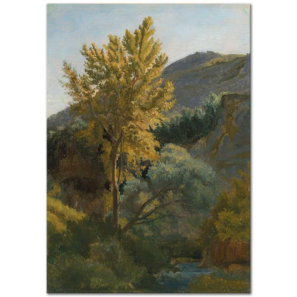Tree Study Near A Torrent In Italy by Jean Baptiste Camille Corot as Art Print