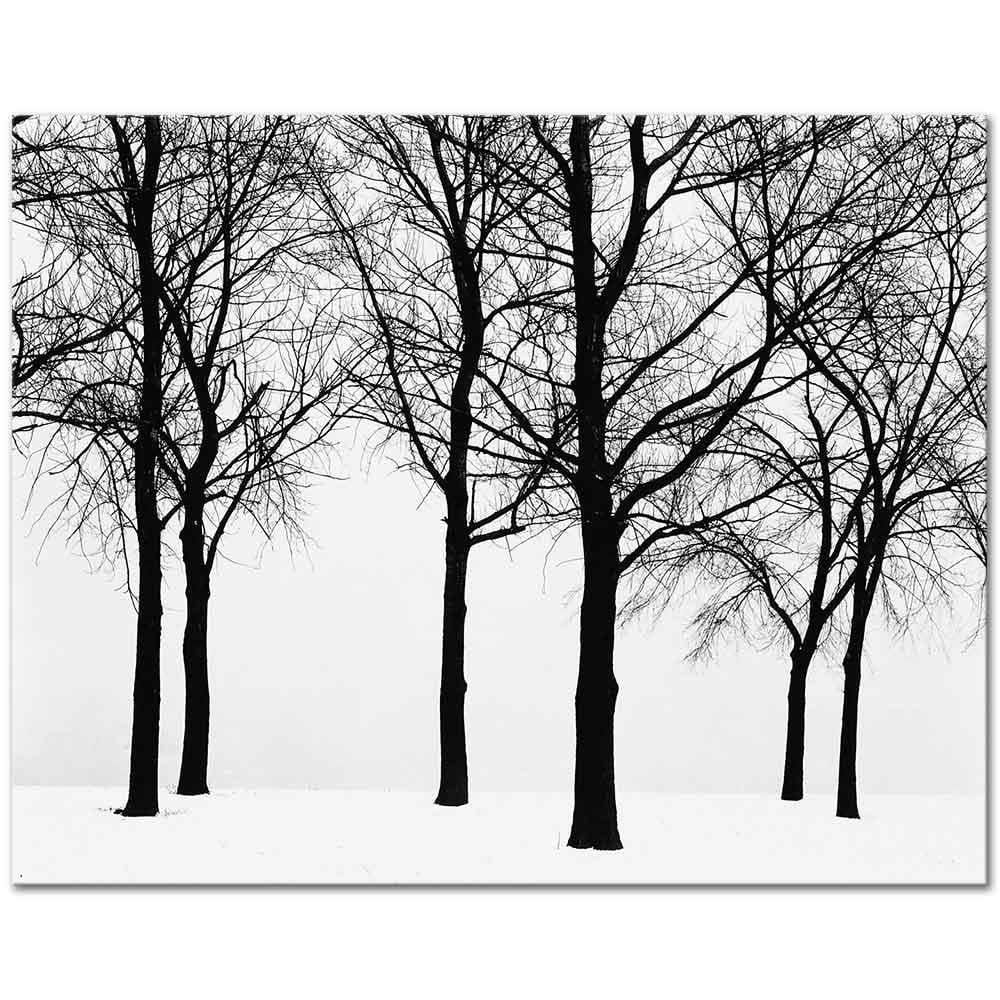 Trees in Winter by Harry Callahan as Art Print