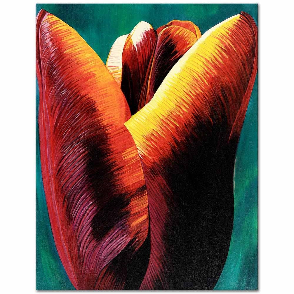 Tulip by Dagmar Göğdün