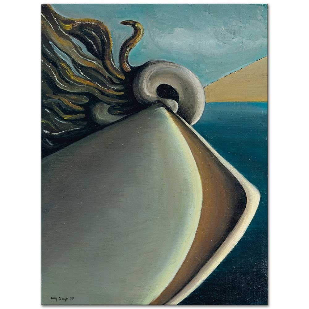 Tumble Weed by Kay Sage