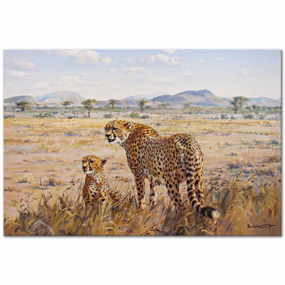 Two Cheetahs by Donald Grant as Fine Art Print