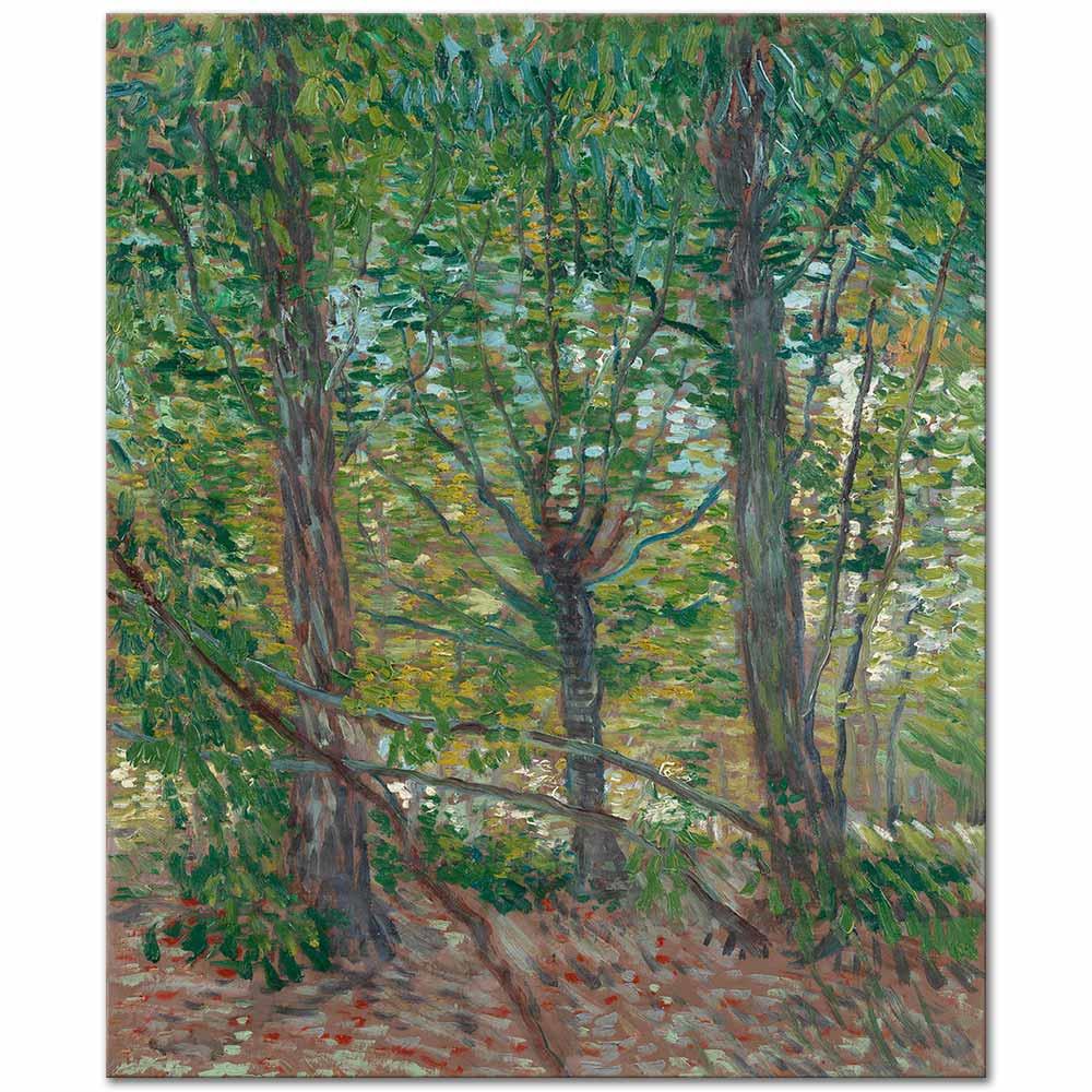 Trees and Undergrowth by Vincent van Gogh