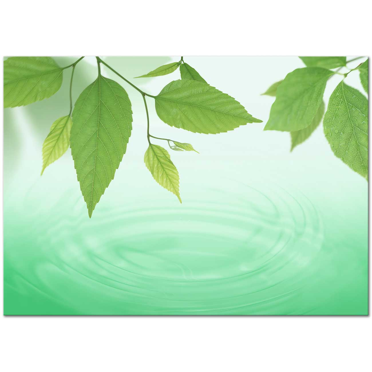 Water Resistant Leaves Art Print