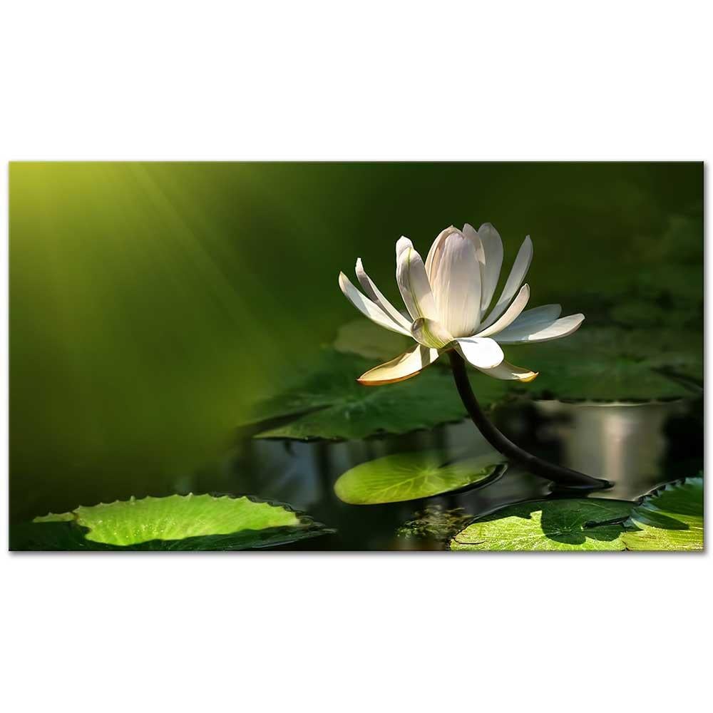 Beyaz Lotus Çiçeği Kanvas Tablo