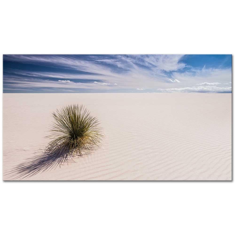 White Sands New Mexico as Art Print