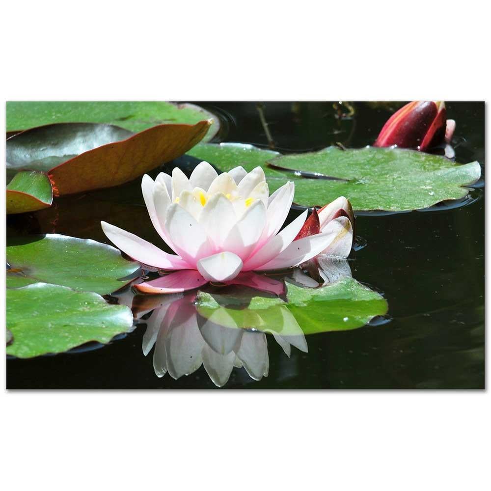 Beyaz Nilüfer Kanvas Tablo