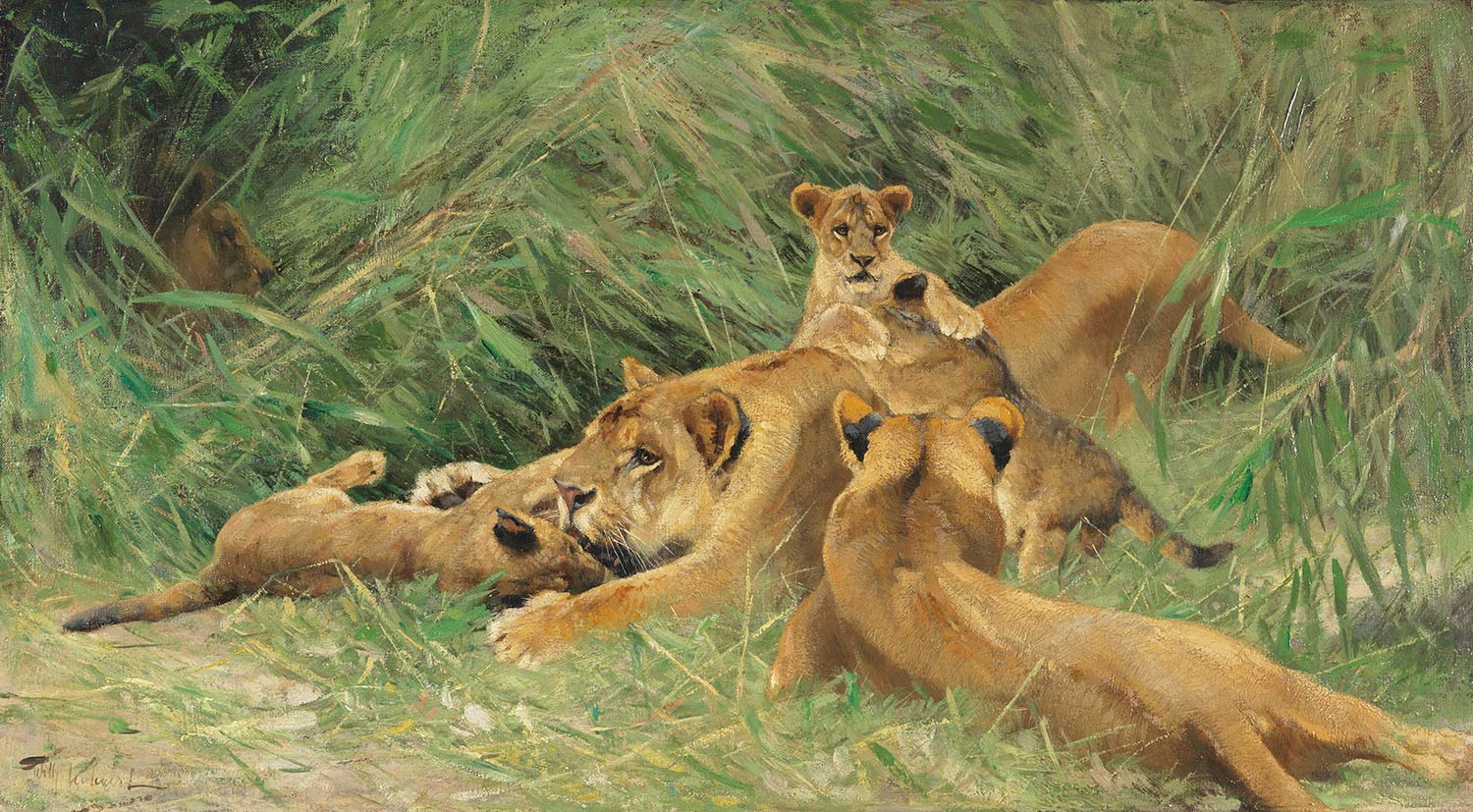 Wilhelm Kuhnert Playing Lions Art Print