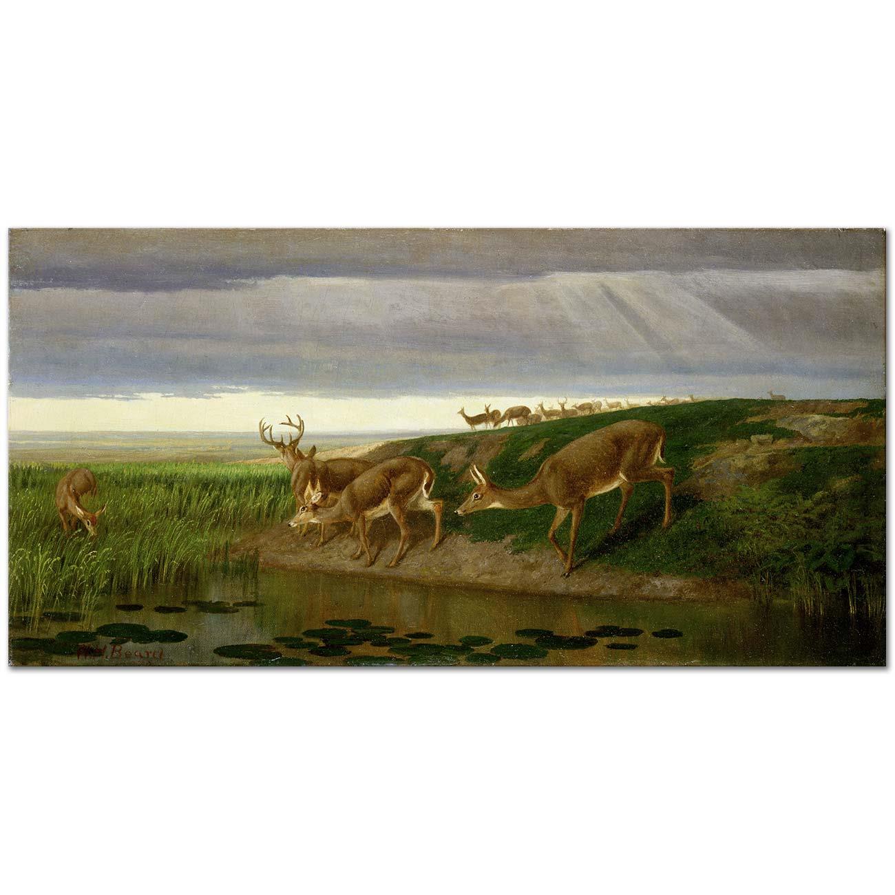 Deer on the Prairie by William Holbrook Beard