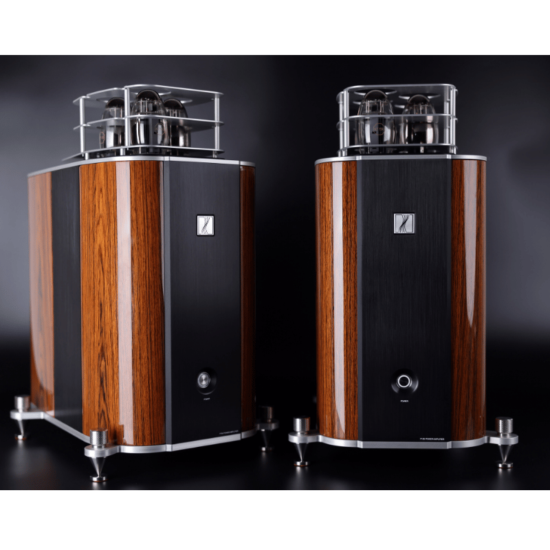 FJORD AUDIO P150 Lambalı Mono Güç Amplifikatörü