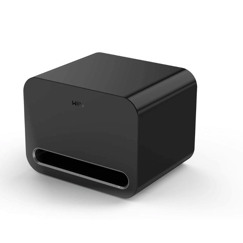 Wiim SUB Pro Subwoofer