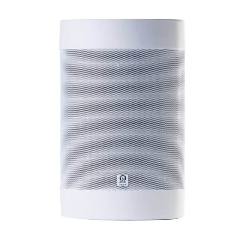 origin Acoustics OS57 Dış Mekan Hoparlörü