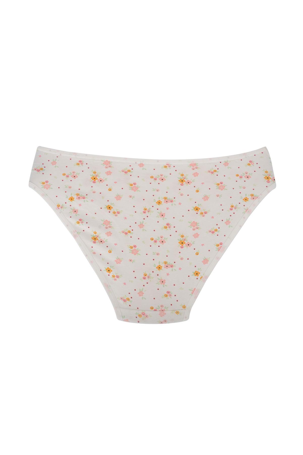 Pamuklu Esnek Desenli Slip Bikini Külot | V1 26800