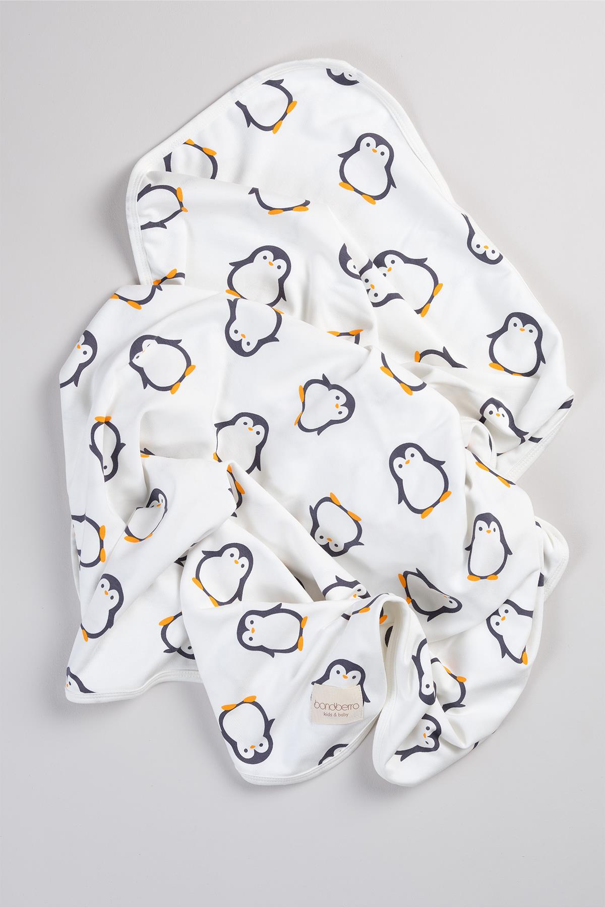 Bonderro Çift Taraflı İnterlok BattaniyeBonderro Çift Taraflı İnterlok Battaniye