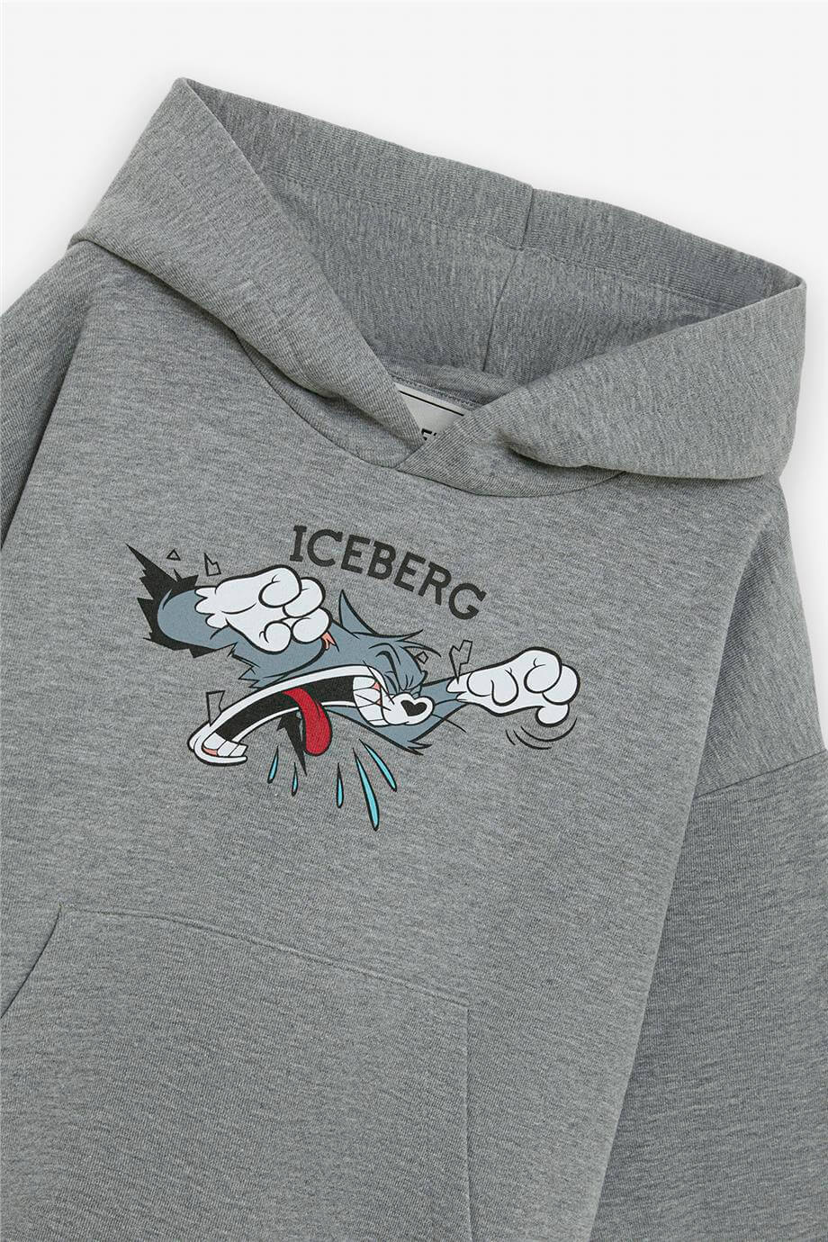 Iceberg Boy Grey SweatshirtIceberg Boy Grey Sweatshirt