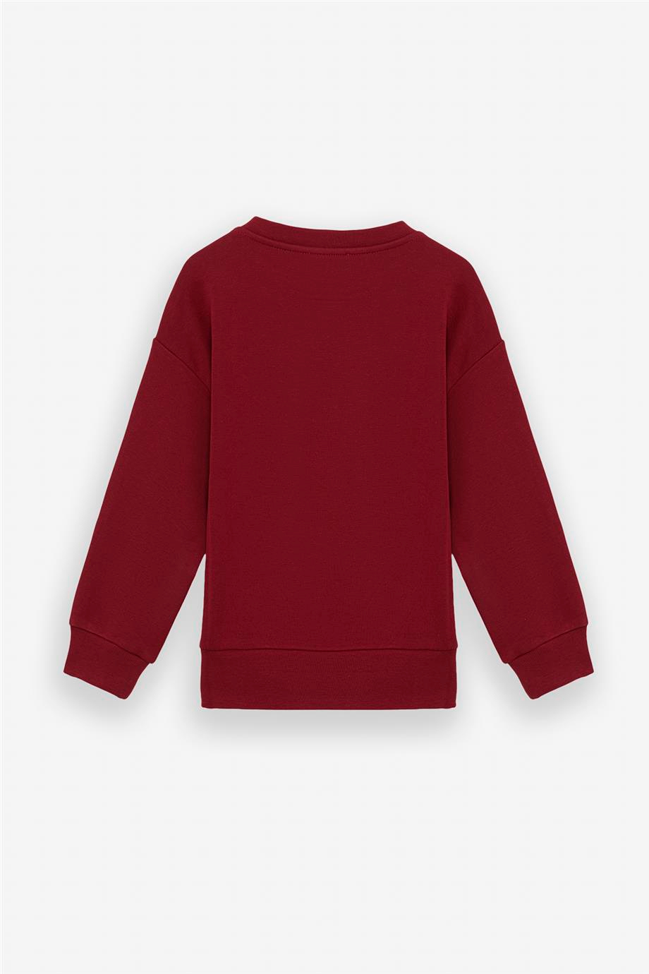 Iceberg Unisex Red Sweatshirt Iceberg Unisex Red Sweatshirt 