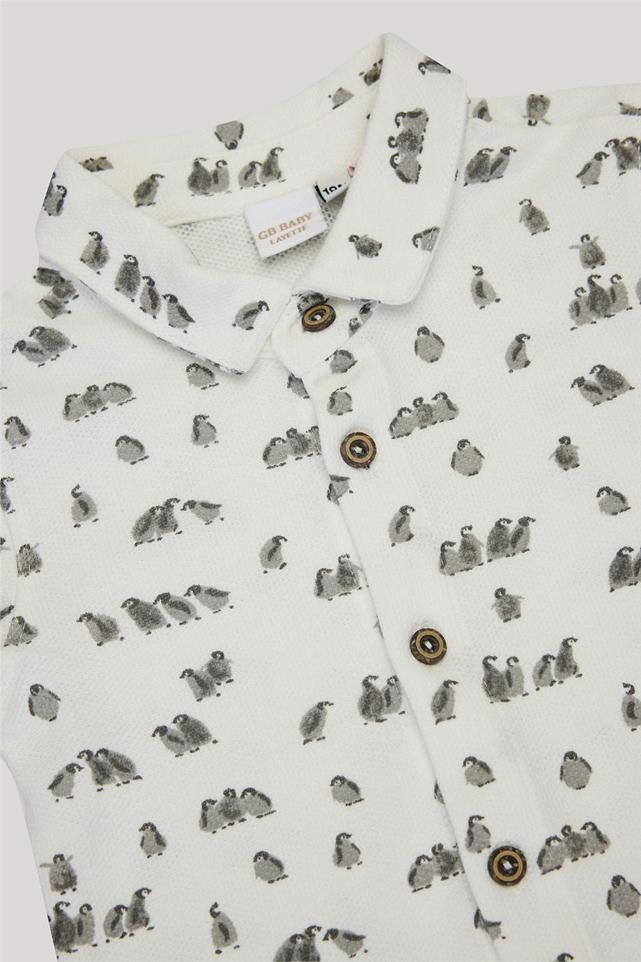 Layette Erkek Bebek Desenli Body