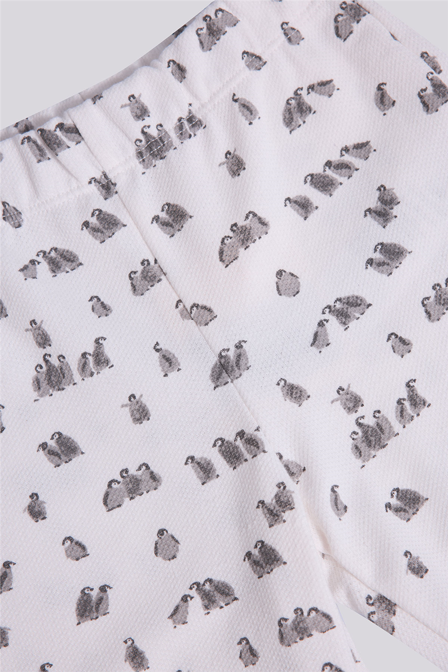 Layette Erkek Bebek Desenli Eşofman AltıLayette Erkek Bebek Desenli Eşofman Altı