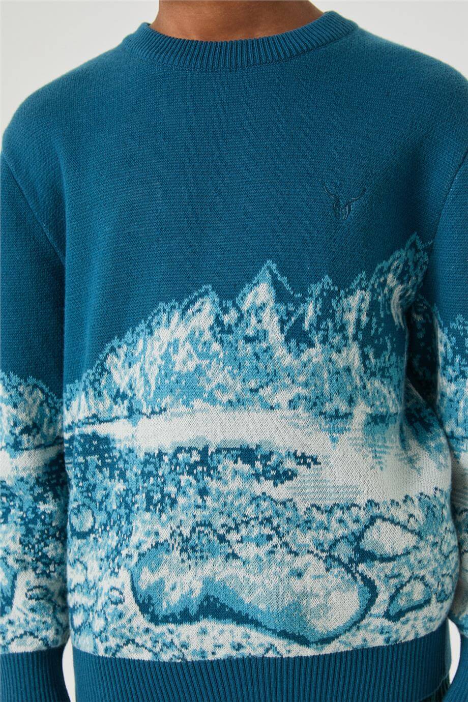 NBT Erkek Çocuk Desenli KazakNBT Erkek Çocuk Desenli Kazak