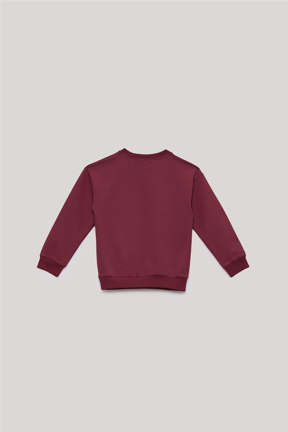 Nebbati Basic Erkek Çocuk Kırmızı Sweatshirt