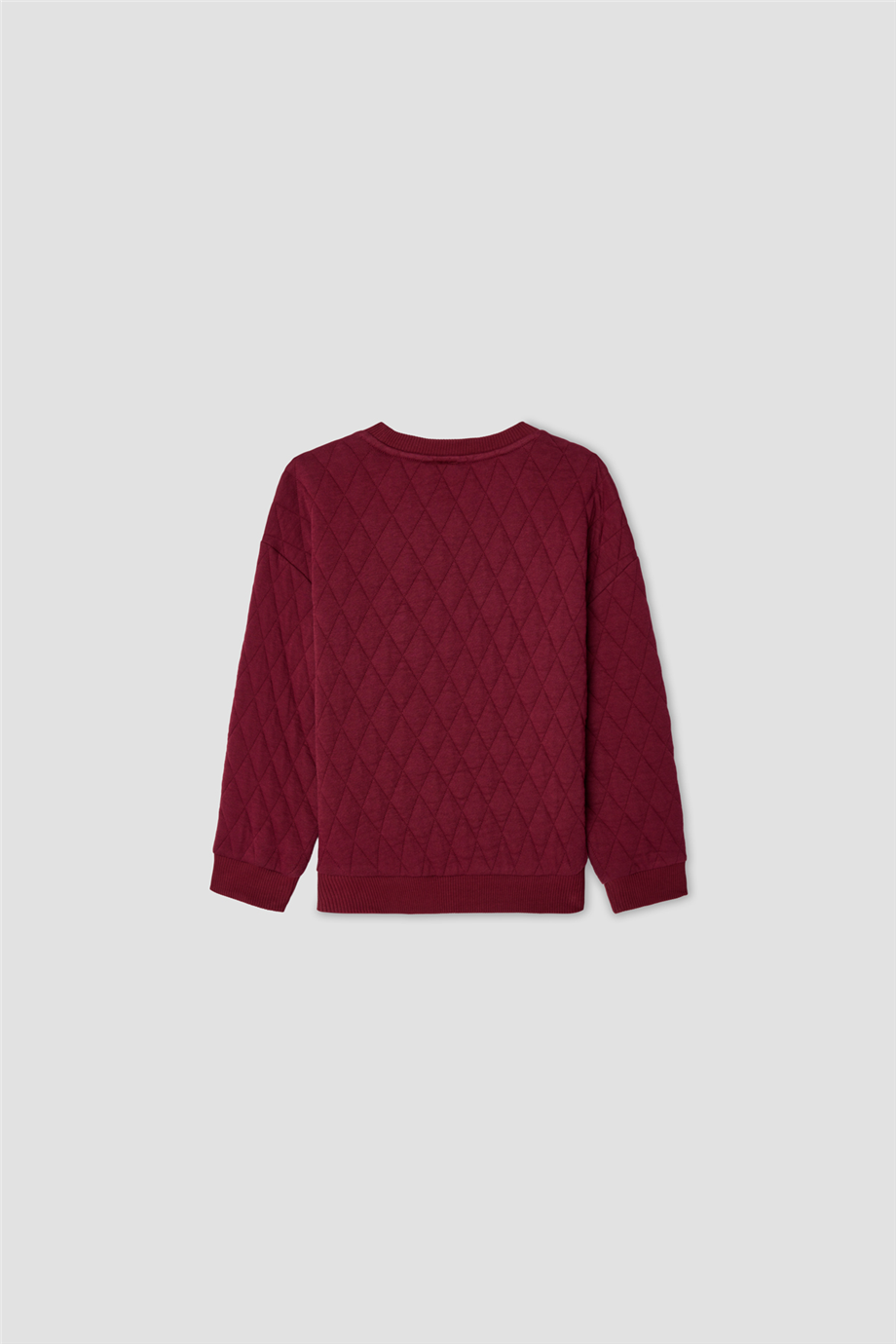 Nebbati Erkek Çocuk Aplikeli Bisiklet Yaka SweatshirtNebbati Erkek Çocuk Aplikeli Bisiklet Yaka Sweatshirt