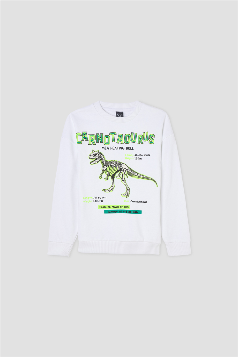 Nebbati Erkek Çocuk Bisiklet Yaka Oversize SweatshirtNebbati Erkek Çocuk Bisiklet Yaka Oversize Sweatshirt
