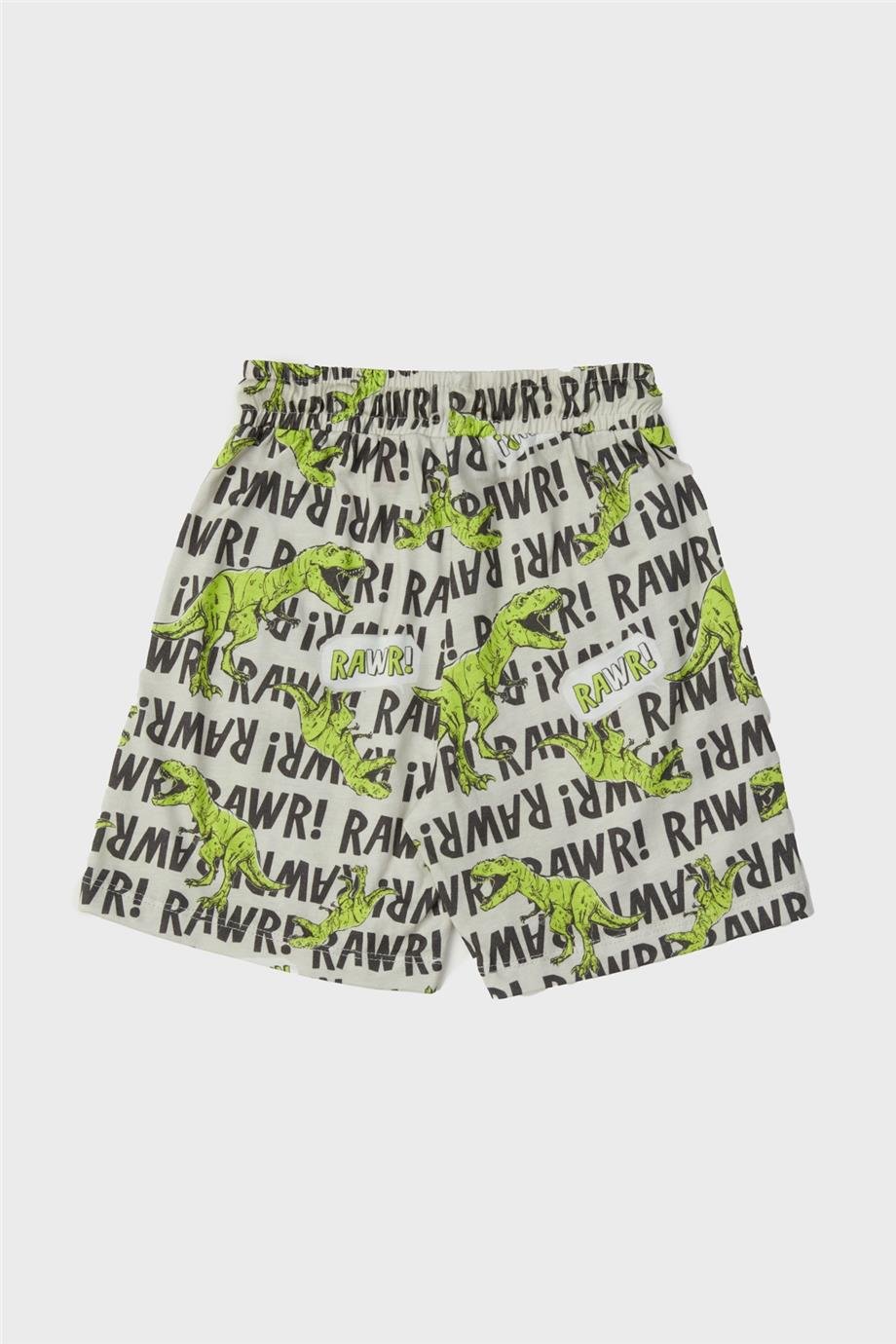 Nebbati Erkek Çocuk Desenli Pijama Takımı