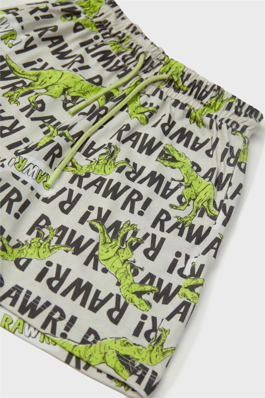 Nebbati Erkek Çocuk Desenli Pijama Takımı