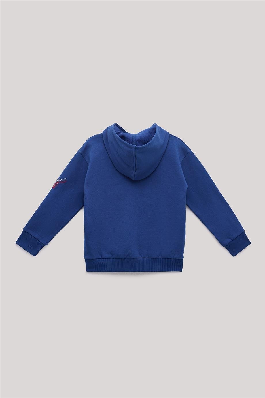 Nebbati Erkek Çocuk Saks Sweatshirt