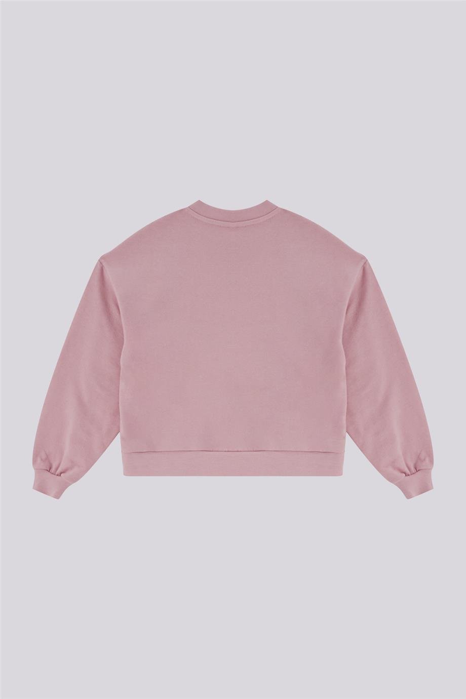 Tyess Kız Bebek Pudra SweatshirtTyess Kız Bebek Pudra Sweatshirt