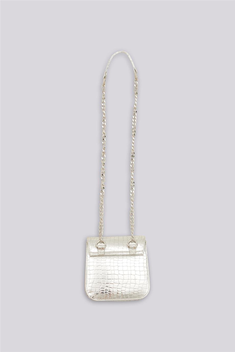 Tyess Girl Silver BagTyess Girl Silver Bag
